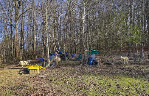 Pet-Friendly Home with Grill and Farm in Meadowview! - Foto 26