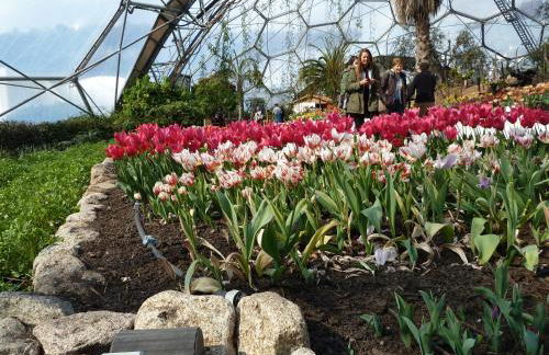 Hillside Cottage - Foto 25