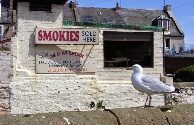 Tay Pearls - The Nestings - Foto 14