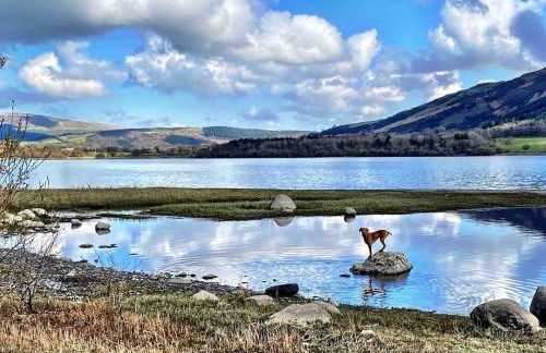 Cosy Cottage on edge of Lake District - Foto 18