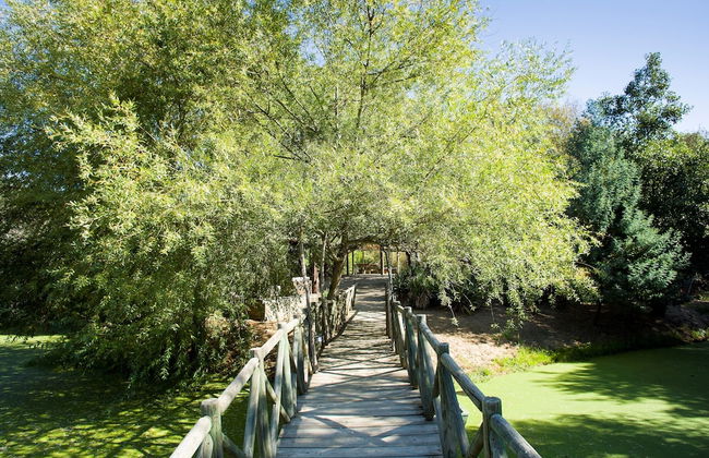 Moinho do Álamo - Foto 47