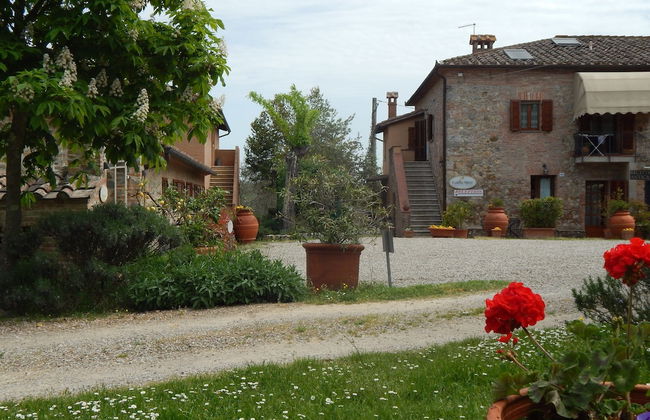 Fullino Nero - Foto 56