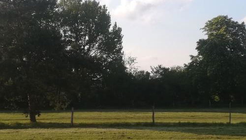 Les prés du petit Morlu - proche Beauval - Photo 5