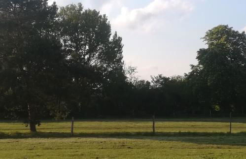 Les prés du petit Morlu - proche Beauval - Foto 5