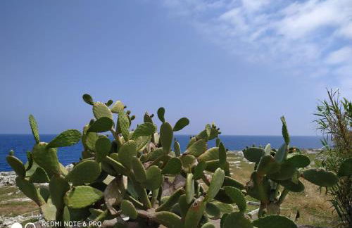 Casale del Forno - Foto 78