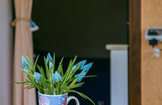"IL CASALE DEI GIRASOLI" Country House in Capalbio - Foto 65