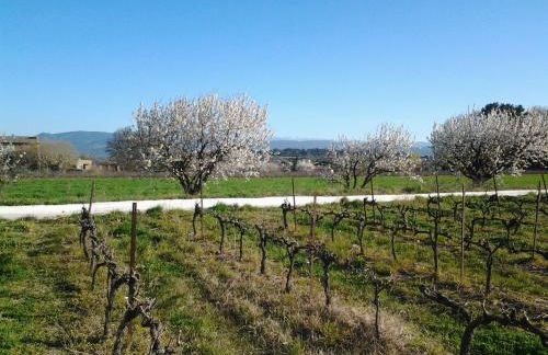 Mas De Hameau - Foto 19