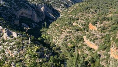 Apartahotel Valle de Rodellar - Foto 2