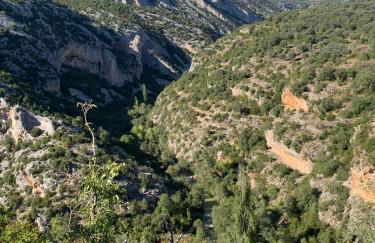 Apartahotel Valle de Rodellar - Foto 31