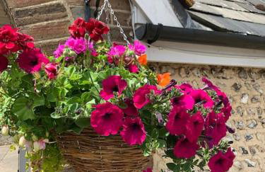 Chillout!! Sussex Flint Cottage- HotTub - Goodwood - Foto 17