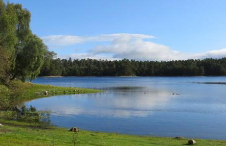 Sycamore Cottage - Foto 11