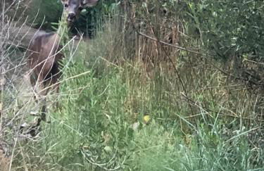 Shooting Star Lodge - Foto 43