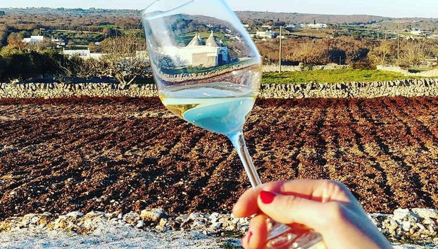 Degustando el exquisito vino de la Apulia
