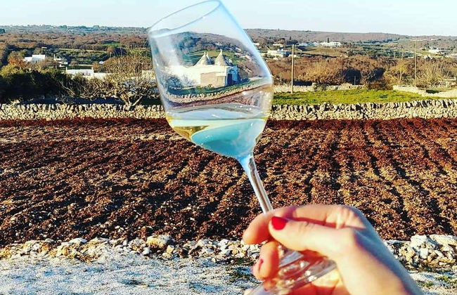 Cata de vinos en el valle de Itria - Foto 3