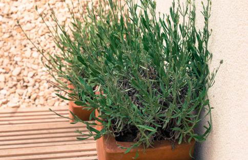 One Abbey Lane - Foto 1