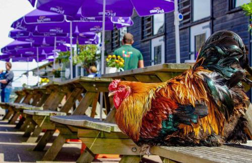 2BR with parking, Mill Hill, NW London, 10min Tube - Foto 23