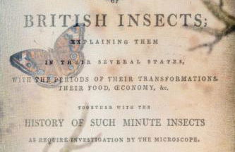 Bus Stop Saloon - Cave Creek with Spa - Photo 78