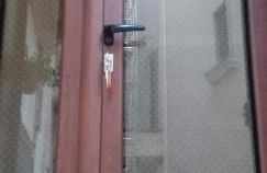 Le camelie - Foto 53