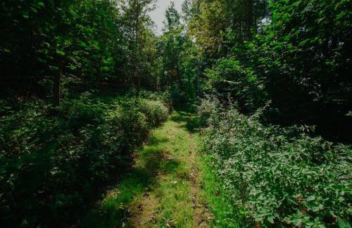 Ferienwohnung Panorama Teichblick - Foto 29