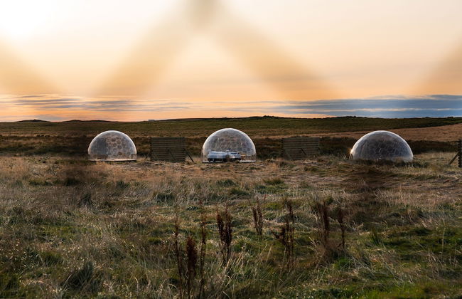 Aurora Igloo South - Foto 47