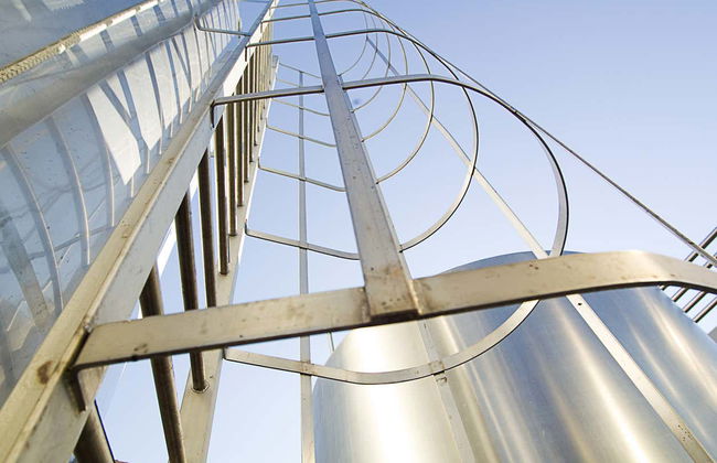 Visit to La Antigua Cheese Factory - Photo 7