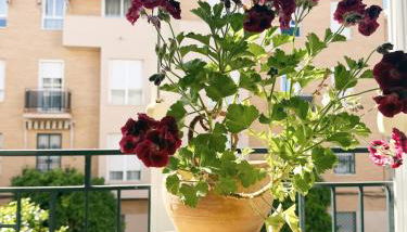 El balcón de la Luz - Foto 5