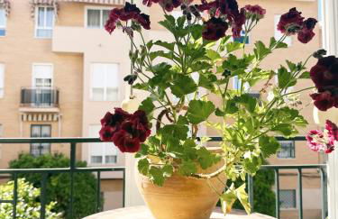 El balcón de la Luz - Foto 5