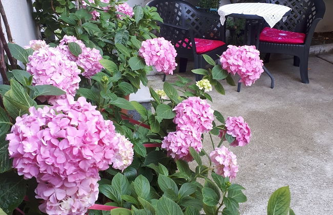 Apartments City Paradise - Photo 27