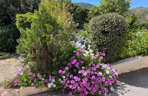 Villa aux portes de la Sainte Baume - Foto 45