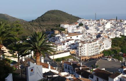 Villa Manzanilla, Malaga - Photo 63