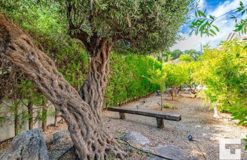 Villa Coral - Grupo Turis - Foto 57