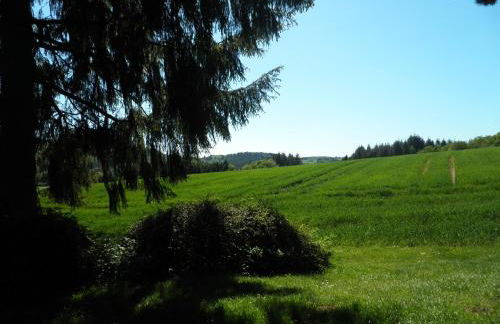 Blick in die Südeifel - Foto 6