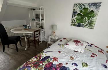 Le cocon jaune - Studio en hyper centre - Photo 26