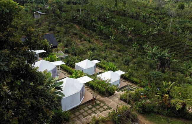 Alam Kita Glamping & Plantation - Foto 45