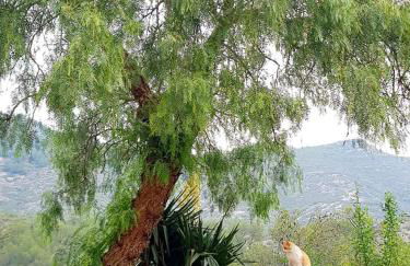 La Ultima Casa Masboquera - Foto 53