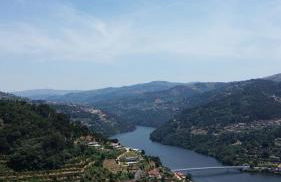Casa das Oliveiras, o Douro no seu esplendor! - Foto 16