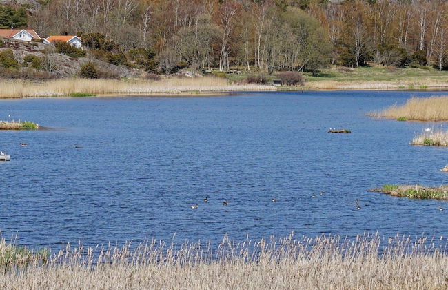 7 Person Holiday Home in Fjallbacka - Photo 28