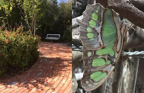 Historic Cottage Rental near Bentsen-Rio Grande Valley State Park in Mission, Texas - Photo 22