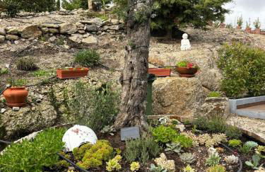 Quinta Santo Antonio - Foto 61