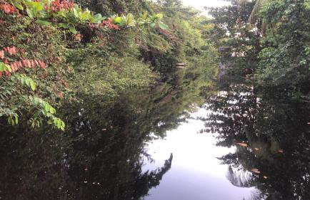 Casa Conchas - Aluguel por Temporada Barra de São Miguel - Foto 44