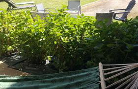 Gîte Val de Saône et Beaujolais, Clos Beaudet - Foto 28