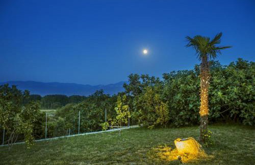 Apartments Juranić - Photo 29