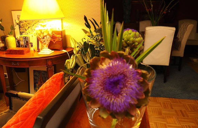 Golden Treasure Deluxe - Foto 28