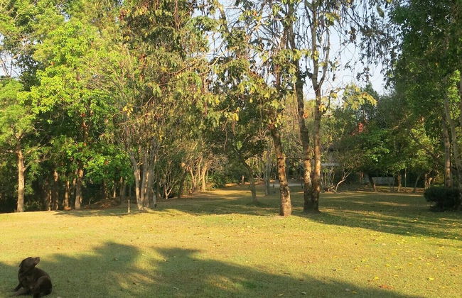 Suan Kaew Park - Photo 29