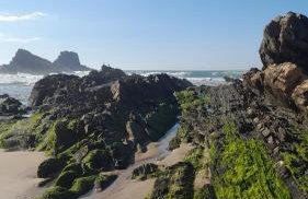 Na Rota - Casa de Praia - Foto 22