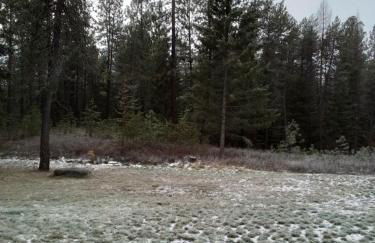 Riffle Road Ranch - Foto 16