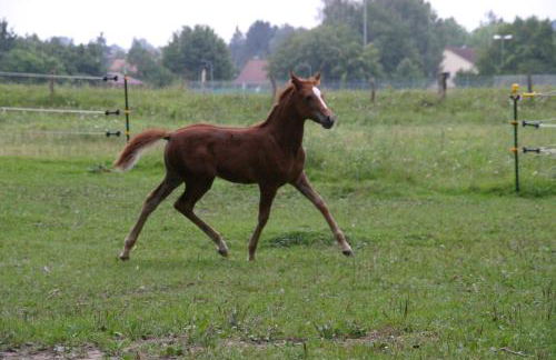 Pure Nature Munich - Amper Meadows/Freising - Foto 56