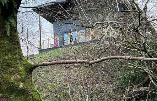 Luxury Lodge In The Treetops - Foto 30