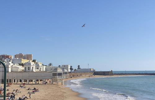 Estreno centro y playa Cádiz - Photo 28