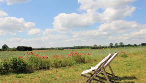 Landhaus Fünfseen - Foto 3, Garden